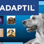 agence de naming MàLT- nom de gamme vétérinaire pour Ceva Santé Animale