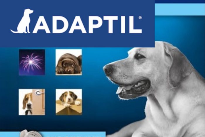 agence de naming MàLT- nom de gamme vétérinaire pour Ceva Santé Animale